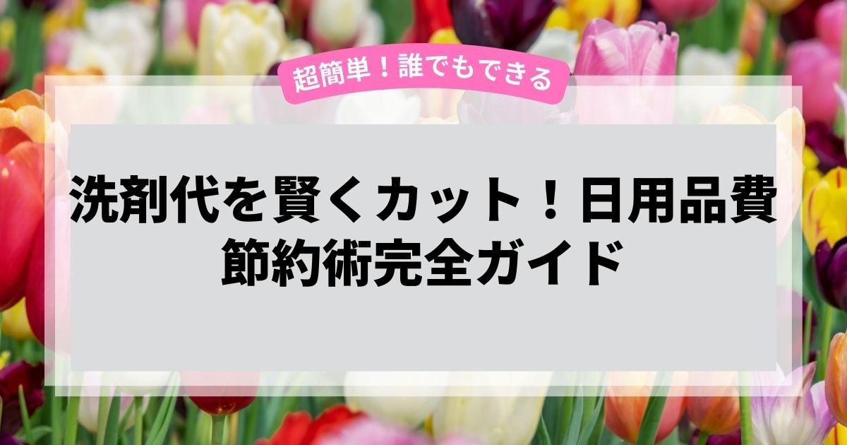 洗剤代を賢くカット！日用品費節約術完全ガイド